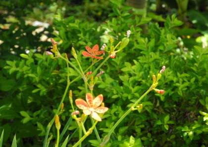 【台北市】基隆河右岸自行車道-百齡河濱公園 【台北市】基隆河右岸自行車道-百齡河濱公園