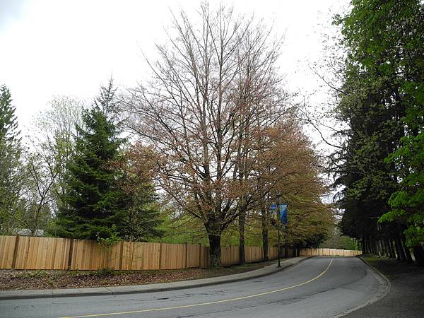 溫哥華住家附近公園_1000420_0510 1107.jpg