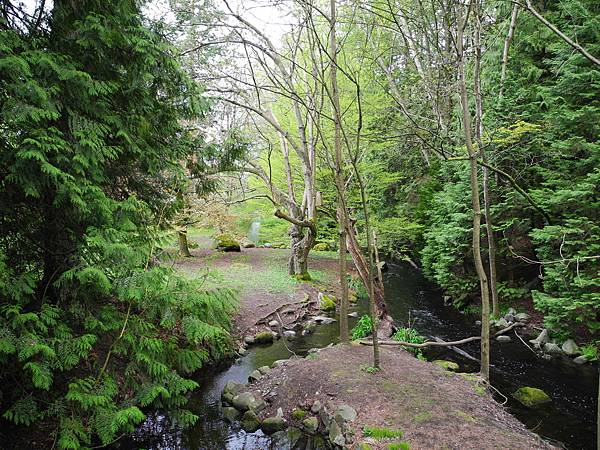 溫哥華住家附近公園_1000420_0510 1108.jpg