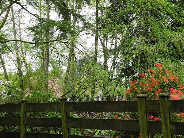 溫哥華住家附近公園_1000420_0510 1110.jpg 溫哥華住家附近公園_1000420_0510 1110.jpg