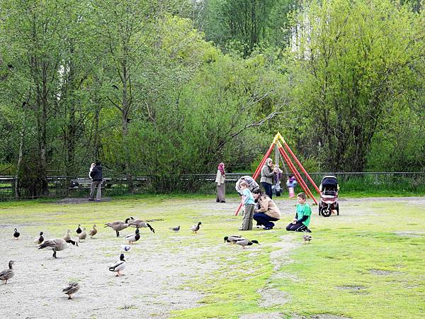 溫哥華住家附近公園_1000420_0510 1114.jpg 溫哥華住家附近公園_1000420_0510 1114.jpg