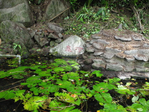 【宜蘭縣頭城鎮】龜山島遊記（上）