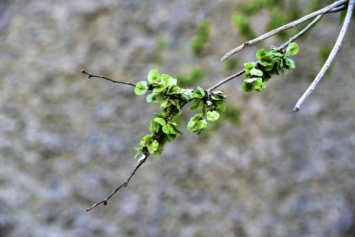 【中國甘肅省】絲路,華山12天之旅Day8:世界文化遺產-敦