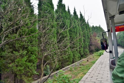 【中國甘肅省】絲路,華山12天之旅Day11:秦始皇帝陵博物 【中國甘肅省】絲路,華山12天之旅Day11:秦始皇帝陵博物