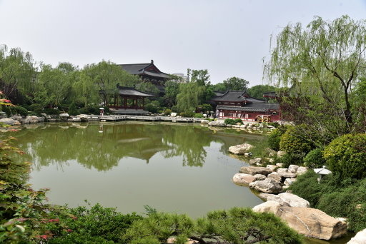 【中國甘肅省】絲路,華山12天之旅Day11:華清宮-華清池