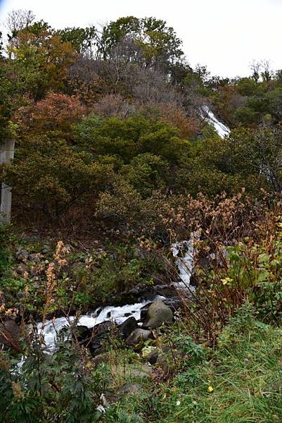 北海道(道東) 5日遊Day3:雙美瀑布,能取湖珊瑚草,北見
