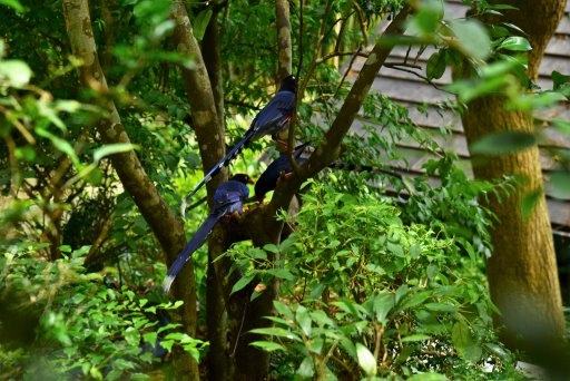 【台北市內湖區】碧山巖,白石湖吊橋,白石湖同心池,碧山露營場 【台北市內湖區】碧山巖,白石湖吊橋,白石湖同心池,碧山露營場