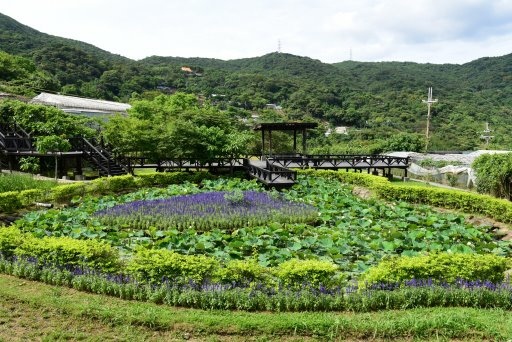 【台北市內湖區】碧山巖,白石湖吊橋,白石湖同心池,碧山露營場 【台北市內湖區】碧山巖,白石湖吊橋,白石湖同心池,碧山露營場
