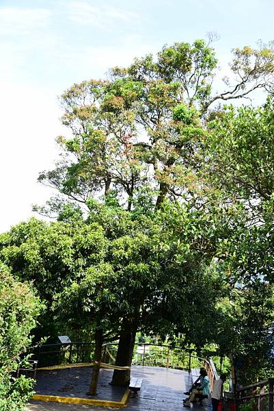 【台北市內湖區】碧山巖,白石湖吊橋,白石湖同心池,碧山露營場 【台北市內湖區】碧山巖,白石湖吊橋,白石湖同心池,碧山露營場