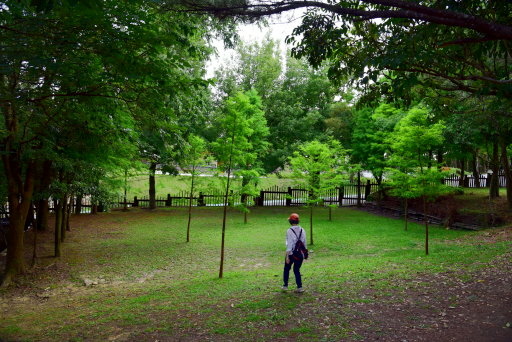 【台北市內湖區】碧山巖,白石湖吊橋,白石湖同心池,碧山露營場 【台北市內湖區】碧山巖,白石湖吊橋,白石湖同心池,碧山露營場
