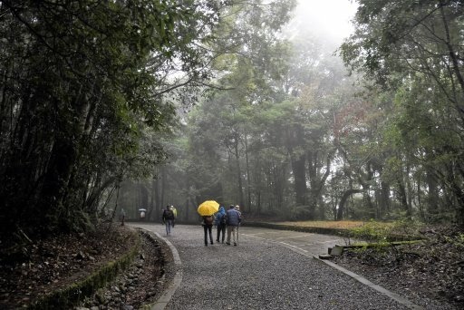 【苗栗泰安】雪壩國家公園之雪見遊憩區-雪見遊客中心~北坑山登