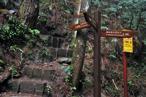 【苗栗泰安】雪壩國家公園之雪見遊憩區-雪見遊客中心~北坑山登