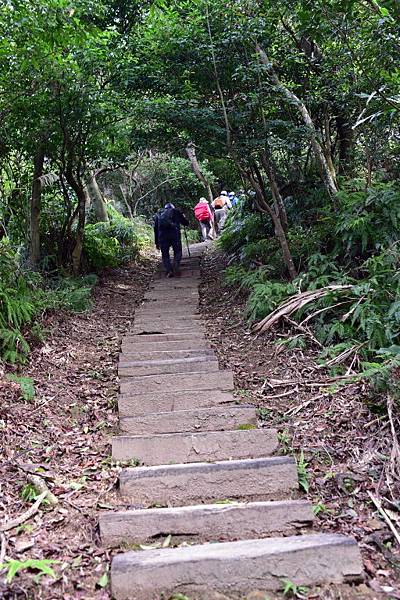 大崙尾山,金面山(剪刀石山),新坡尾山,碧湖山登山行