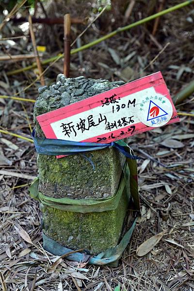 大崙尾山,金面山(剪刀石山),新坡尾山,碧湖山登山行