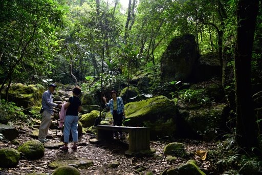 青山瀑布步道 (9).JPG