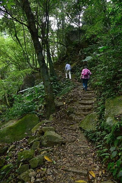 青山瀑布步道 (15).JPG