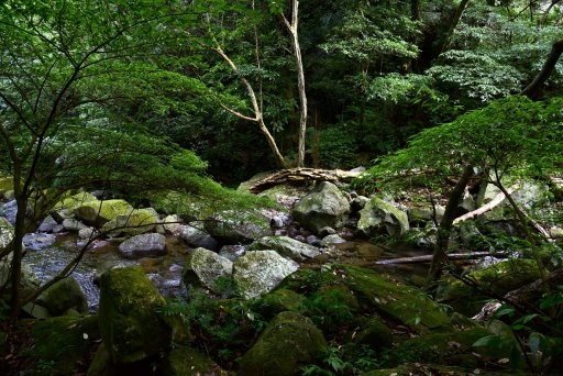 青山瀑布步道 (16).JPG