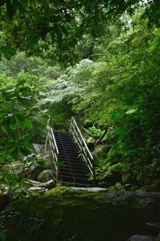 青山瀑布步道 (29).JPG