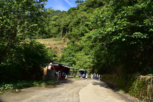 【新竹縣尖石鄉】鎮西堡巨木群步道B區(鎮西堡及雪見遊憩區3日 【新竹縣尖石鄉】鎮西堡巨木群步道B區(鎮西堡及雪見遊憩區3日