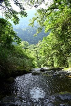 【新竹縣尖石鄉】鎮西堡巨木群步道B區(鎮西堡及雪見遊憩區3日 【新竹縣尖石鄉】鎮西堡巨木群步道B區(鎮西堡及雪見遊憩區3日