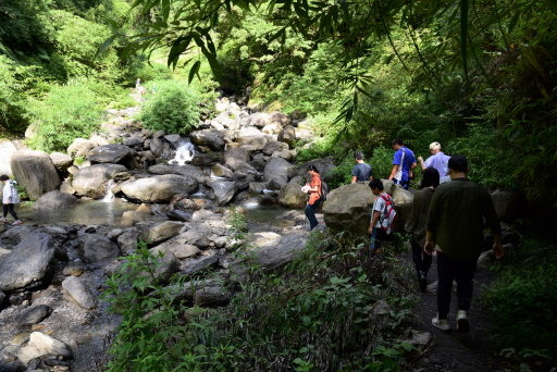 【新竹縣尖石鄉】鎮西堡巨木群步道B區(鎮西堡及雪見遊憩區3日 【新竹縣尖石鄉】鎮西堡巨木群步道B區(鎮西堡及雪見遊憩區3日
