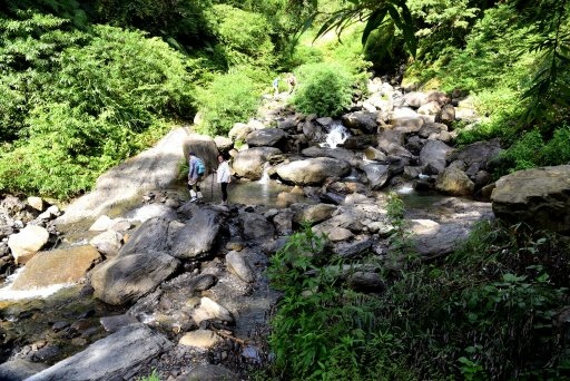 【新竹縣尖石鄉】鎮西堡巨木群步道B區(鎮西堡及雪見遊憩區3日 【新竹縣尖石鄉】鎮西堡巨木群步道B區(鎮西堡及雪見遊憩區3日