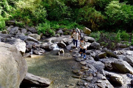 【新竹縣尖石鄉】鎮西堡巨木群步道B區(鎮西堡及雪見遊憩區3日 【新竹縣尖石鄉】鎮西堡巨木群步道B區(鎮西堡及雪見遊憩區3日
