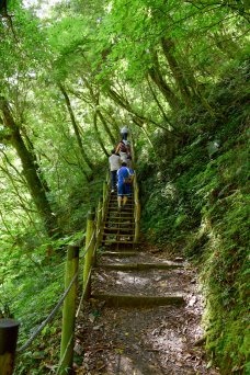 【新竹縣尖石鄉】鎮西堡巨木群步道B區(鎮西堡及雪見遊憩區3日 【新竹縣尖石鄉】鎮西堡巨木群步道B區(鎮西堡及雪見遊憩區3日