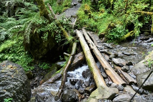 【新竹縣尖石鄉】鎮西堡巨木群步道B區(鎮西堡及雪見遊憩區3日 【新竹縣尖石鄉】鎮西堡巨木群步道B區(鎮西堡及雪見遊憩區3日