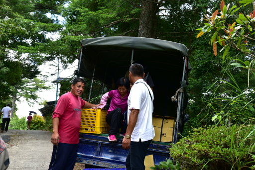 【新竹縣尖石鄉】鎮西堡巨木群步道B區(鎮西堡及雪見遊憩區3日 【新竹縣尖石鄉】鎮西堡巨木群步道B區(鎮西堡及雪見遊憩區3日