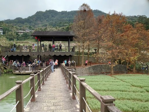 【台北市文山區】台北大縱走第七段-指南宮竹柏參道,大成殿步道