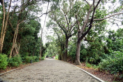 【高雄市隬陀區】漯底山自然公園(高雄3日遊之4)