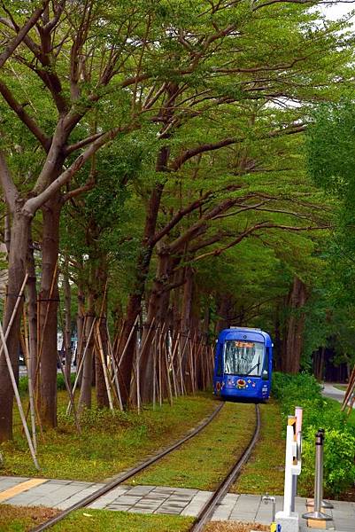 【高雄市鼓山區】 高雄輕軌夢幻場景-龍貓隧道 (高雄3日遊之