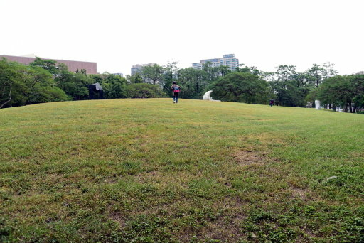 【高雄市鼓山區】 高雄輕軌夢幻場景-龍貓隧道 (高雄3日遊之