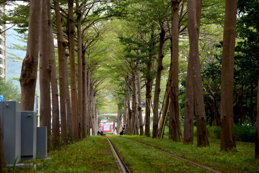 【高雄市鼓山區】 高雄輕軌夢幻場景-龍貓隧道 (高雄3日遊之