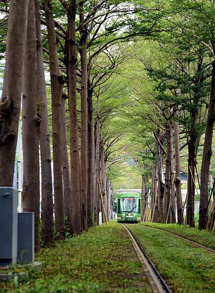 【高雄市鼓山區】 高雄輕軌夢幻場景-龍貓隧道 (高雄3日遊之