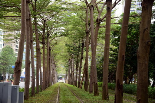 【高雄市鼓山區】 高雄輕軌夢幻場景-龍貓隧道 (高雄3日遊之