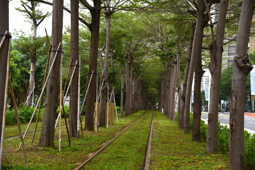 【高雄市鼓山區】 高雄輕軌夢幻場景-龍貓隧道 (高雄3日遊之