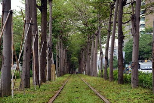 【高雄市鼓山區】 高雄輕軌夢幻場景-龍貓隧道 (高雄3日遊之