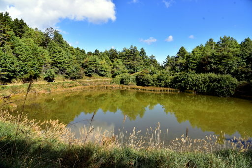 大雪山國家森林遊樂區 (1).JPG 大雪山國家森林遊樂區 (1).JPG
