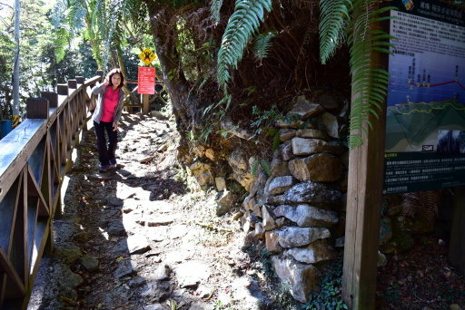 大雪山國家森林遊樂區 (2).JPG 大雪山國家森林遊樂區 (2).JPG