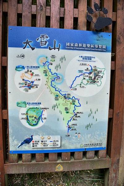 大雪山國家森林遊樂區 (43).JPG 大雪山國家森林遊樂區 (43).JPG