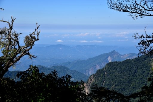 大雪山國家森林遊樂區 (3).JPG 大雪山國家森林遊樂區 (3).JPG