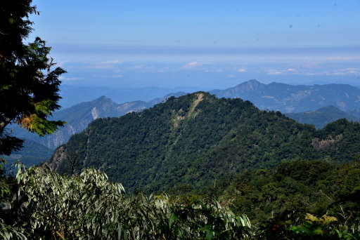 大雪山國家森林遊樂區 (4).JPG 大雪山國家森林遊樂區 (4).JPG