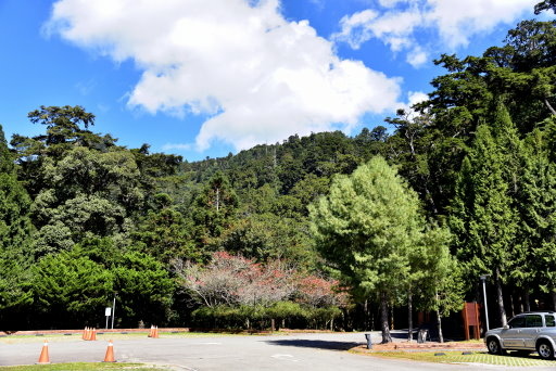 大雪山國家森林遊樂區 (7).JPG 大雪山國家森林遊樂區 (7).JPG