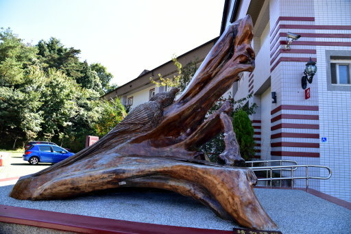 大雪山國家森林遊樂區 (8).JPG 大雪山國家森林遊樂區 (8).JPG