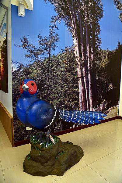 大雪山國家森林遊樂區 (11).JPG 大雪山國家森林遊樂區 (11).JPG