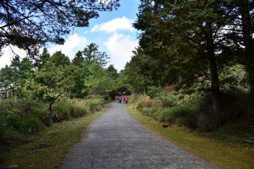 大雪山國家森林遊樂區 (21).JPG 大雪山國家森林遊樂區 (21).JPG