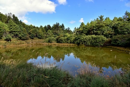 大雪山國家森林遊樂區 (25).JPG 大雪山國家森林遊樂區 (25).JPG