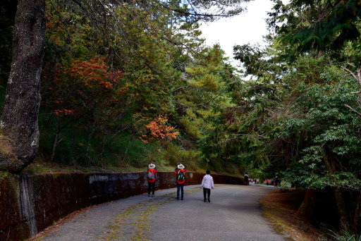 大雪山國家森林遊樂區 (28).JPG 大雪山國家森林遊樂區 (28).JPG